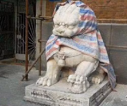 Sư tử quàng khăn sọc cosplay cô bé quàng khăn đỏ phiên bản độc lạ. Ảnh: Tổng hợp