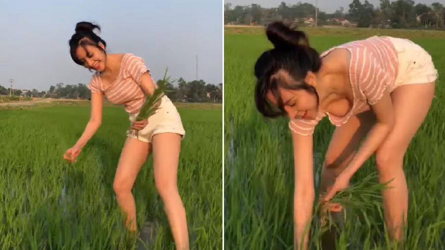 Chiếc áo này đã vô tình làm lộ một phần vòng 1 của cô, rất nhiều bình luận bày tỏ ngán ngẩm với cách ăn mặc hớ hênh này dưới đoạn clip.