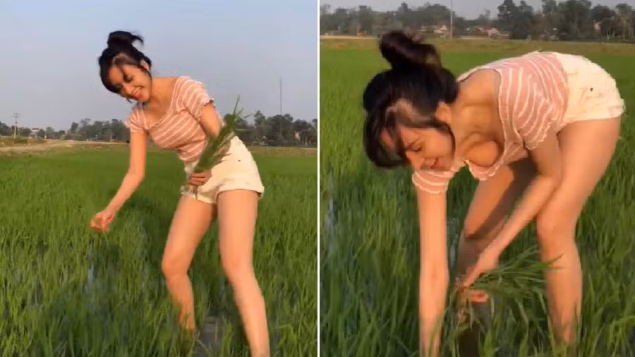 Chiếc áo này đã vô tình làm lộ một phần vòng 1 của cô, rất nhiều bình luận bày tỏ ngán ngẩm với cách ăn mặc hớ hênh này dưới đoạn clip.