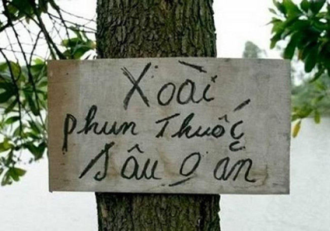 Pha đe dọa tâm lý "cực gắt" dành cho những "xoài tặc".