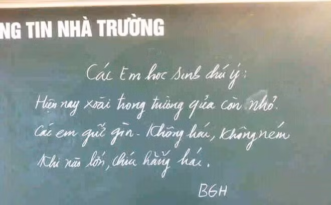 Một tấm bảng không thông báo về các hoạt động văn-thể-mỹ của trường mà tập trung nhắc nhở các em học sinh về hành động vặt trộm xoài từng thu hút sự chú ý của cộng đồng mạng