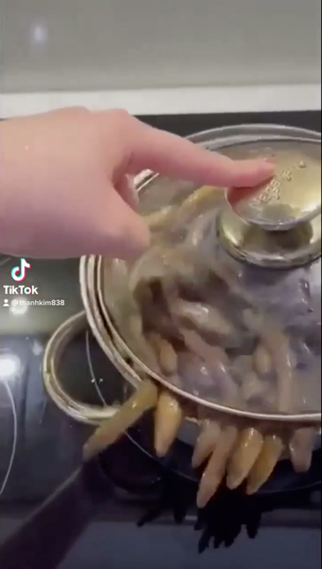 Trong video, cô gái tiết lộ mình dự định mua lươn về để quay clip hướng dẫn nấu ăn, thế nhưng chưa kịp làm gì cô đã tạo nên cảnh tượng hãi hùng khi chỉ mở nắp nhẹ, những con lươn trong nồi lập tức trườn hết ra ngoài, bò ngoe nguẩy trong gian bếp.