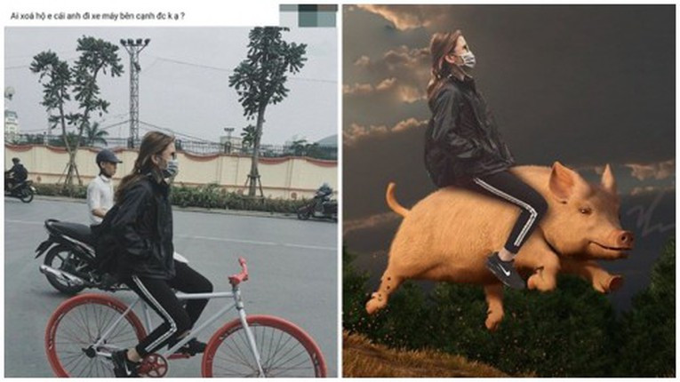 Khi bạn muốn siêu xe sang chảnh nhưng thứ nhận về là cưỡi lợn. Ảnh: Tổng hợp