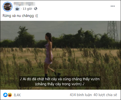 Từ câu hát "Ai đó đã chặt hết cây và cũng chẳng thấy vườn", không ít người lại đoán đề thi Văn có thể vào Rừng Xà Nu.