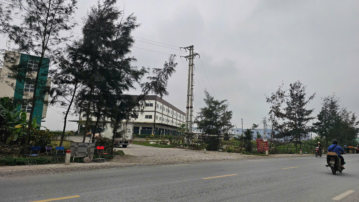 Ly do Hai Duong thu hoi dat cua Cong ty thuc pham Tin Tin