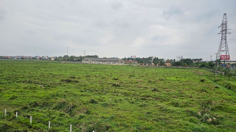 Hai Duong: Thu hoi dat Vinamit do vi pham phap luat ve dat dai