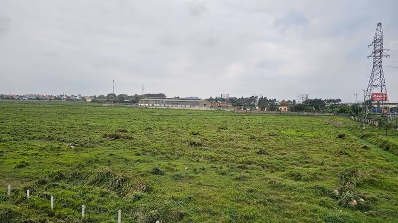 Hai Duong: Thu hoi dat Vinamit do vi pham phap luat ve dat dai