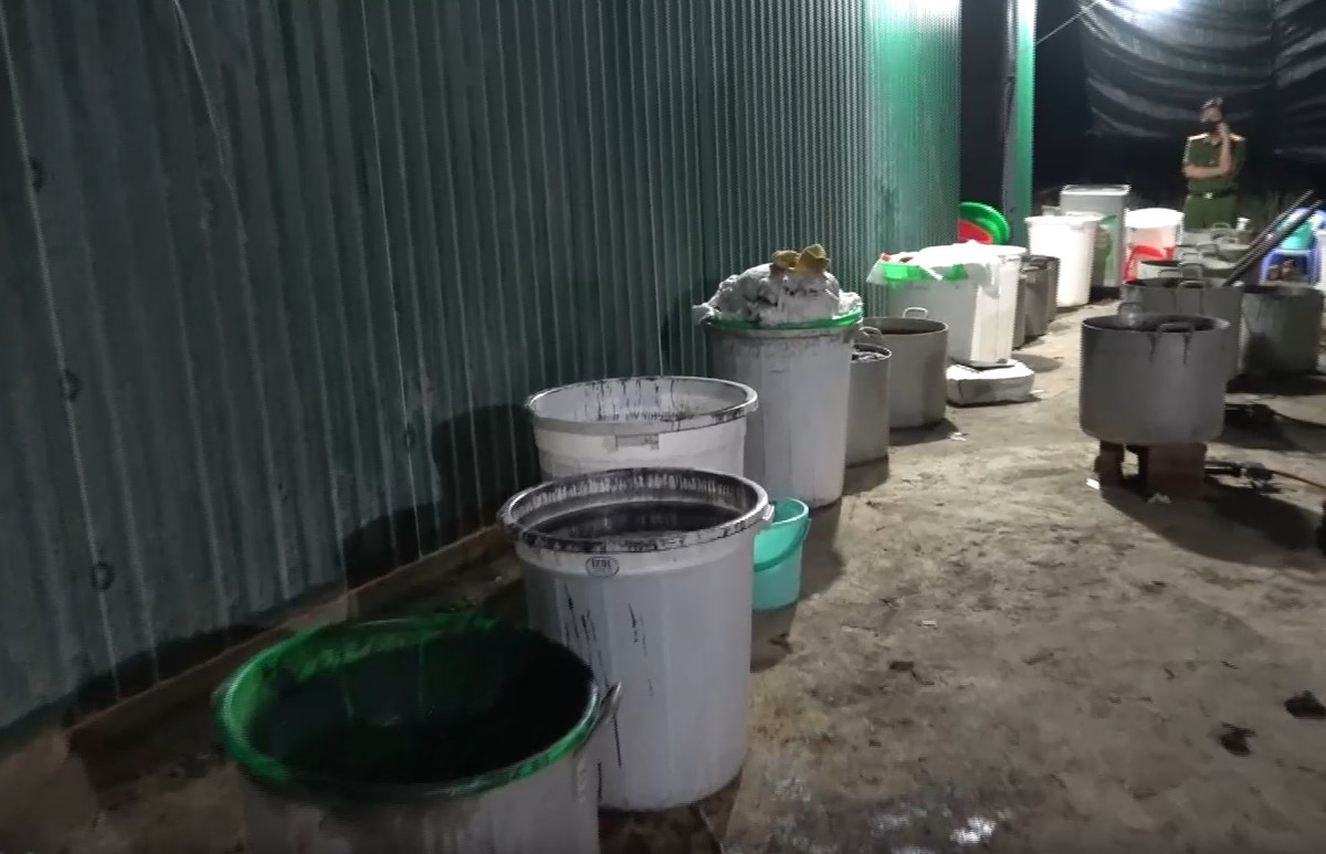 Cảnh sát đã bắt giữ 11 đối tượng, trong đó 4 đối tượng người Trung Quốc, 3 đối tượng người Đài Loan (Trung Quốc), 4 đối tượng người Việt Nam. Qua đấu tranh ban đầu các đối tượng thừa nhận hành vi sản xuất trái phép chất ma túy. 