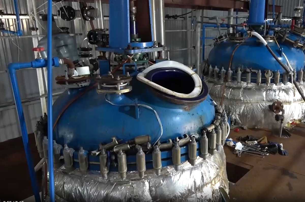 Cầm đầu đường dây là Trương Xuân Minh, 51 tuổi, quốc tịch Đài Loan (Trung Quốc). Minh sang Việt Nam từ năm 2021, tạo vỏ bọc đầu tư, kinh doanh, nuôi cá cảnh. Minh sống như vợ chồng với Phạm Thị Lệ Hân, 30 tuổi, ở Khánh Hòa. Giúp sức đắc lực cho Minh là Đoàn Văn Hùng, 42 tuổi, ở Khánh Hòa. 