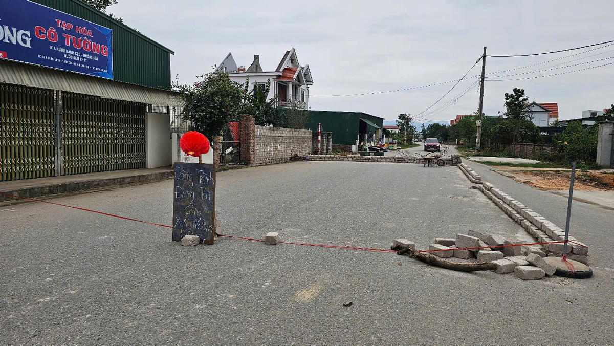 Hai Duong: Vi sao nguoi dan xay tuong gach chan long duong?-Hinh-4