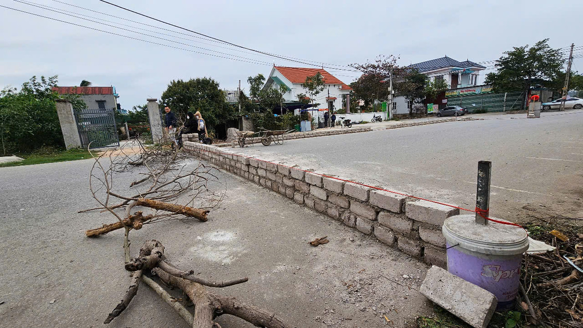 Hai Duong: Vi sao nguoi dan xay tuong gach chan long duong?-Hinh-3