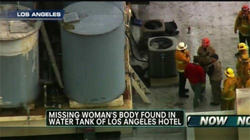  2. Xác chết bí ẩn của Elisa Lam: Một khách sạn cũ xây dựng gần một thế kỷ ở trung tâm Los Angeles, trước đây đã nổi danh là nơi có hai sát thủ giết người hàng chuỗi từng tạm trú và cũng là vị trí nhiều kẻ chán đời tìm cái chết, bỗng nhiên lại nổi tiếng như cồn sau vụ mất tích kỳ lạ của một cô gái Canada gốc Hoa. Tiếp đó là một vụ kiện của khách trọ về nguồn nước sử dụng ở bồn chứa, nơi tìm thấy xác nạn nhân mất tích gần 18 ngày! Theo CNN, thi thể nữ sinh xấu số người Canada Elisa Lam do một công nhân phát hiện trong bể nước tầng thượng khách sạn Cecil Hotel khi đang tìm cách sửa chữa hệ thống nước do có nhiều người phàn nàn nước chảy quá yếu. Một số nguồn tin cảnh sát cho biết có thể cái chết của Lam là một tai nạn nhưng chưa rõ tại sao cô chết và làm thế nào cô lại ở trong 1 trong 4 bể nước trên tầng thượng vốn được khóa kín và có hệ thống chuông báo động. Vụ án của cô Lam đã khiến nhiều người quan tâm, và các diễn đàn trên mạng tràn ngập các giả thuyết về việc chuyện gì đã xảy ra với cô. Các hãng truyền thông quốc tế, đặc biệt là Canada và Trung Quốc, luôn cập nhật các tin tức liên quan đến vụ án của cô Lam. Hầu hết các giả thuyết đặt ra đều dựa trên đoạn video lúc cô Lam đứng trong thang máy. Đoạn video này đã trở thành tin “hot” trên trang video của Trung Quốc là Youku.com, với hơn 3 triệu lượt xem và 40,000 lời bình luận chỉ trong vòng 10 ngày. Nhiều người đã nói rằng, họ cảm thấy rất sợ hãi sau khi xem đoạn video.