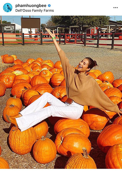 Phạm Hương cũng là một trong số mỹ nhân Việt có hành động không đẹp nơi công cộng. Hồi tháng 10/2019, người đẹp ngồi lên bí ngô chụp ảnh ở Mỹ dù có biển cấm.