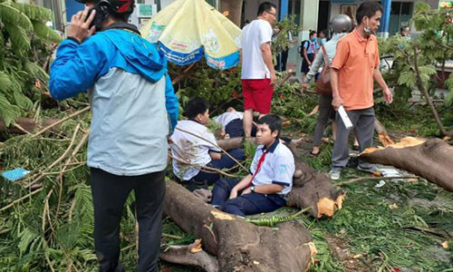 Ai quan ly cay phuong gay do, de len hoc sinh o TP.HCM?