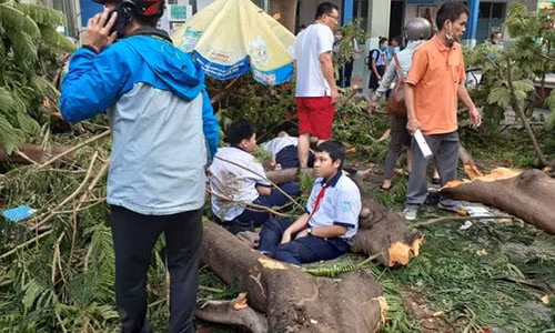 Ai quan ly cay phuong gay do, de len hoc sinh o TP.HCM?