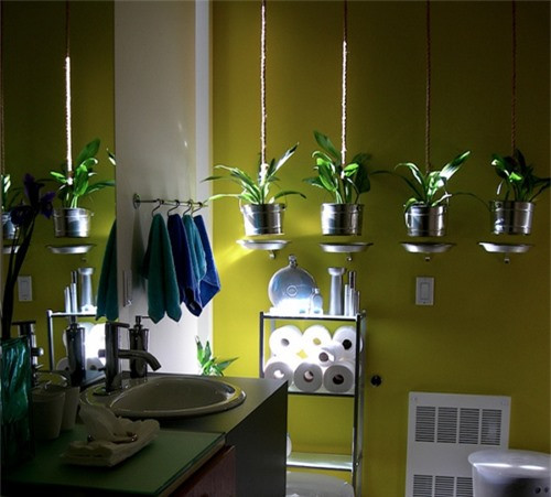 Một vài chậu cây đặt trong phòng tắm giúp cho không gian thêm tươi mới hơn.