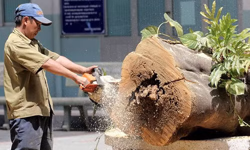 Phuong bat goc, 1 hoc sinh tu vong: 'Me oi, ban con mat roi'-Hinh-2