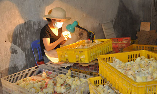 Nghe la moi ngay kiem ca trieu dong nhung it nguoi lam
