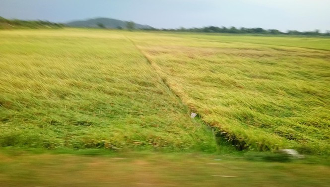 20 phut dong loc cuon bay nhieu nha cua, hoa mau o Nghe An-Hinh-5
