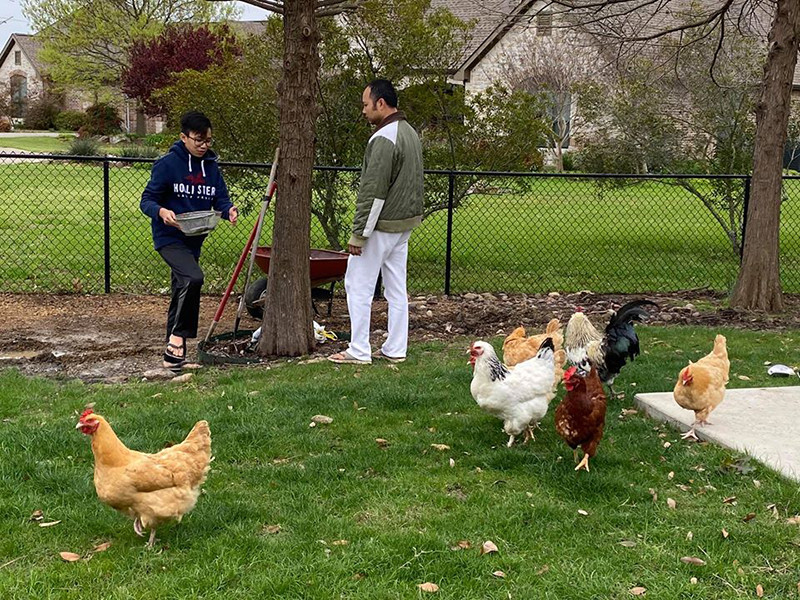 Mới đây, anh trang trí lại vườn, nuôi thêm gà và cá để các con được vui.