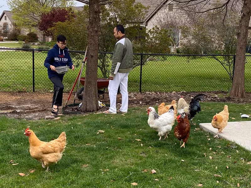 Mới đây, anh trang trí lại vườn, nuôi thêm gà và cá để các con được vui.