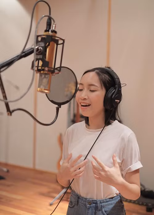 Năm 2016, Mỹ Anh từng ra mắt đĩa nhạc đầu tay The First Album: Bài hát cho Bi.