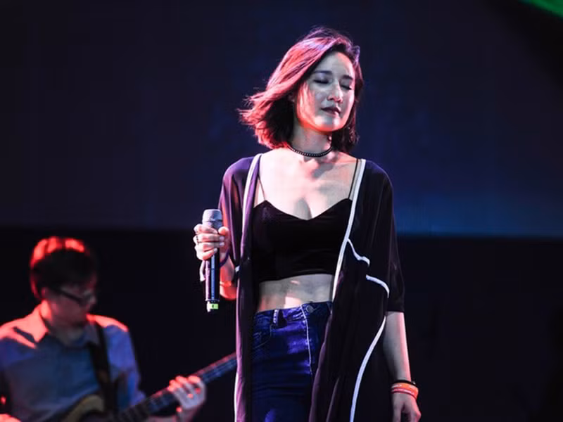 Theo Vietnamnet, Anna cùng các đồng nghiệp tham gia hàng loạt dự án “bom tấn” như: A Star Is Born, Deadpool 2, Wreck it ralph 2, Mary Poppins Returns, Smallfoot, phim ngắn Bao của hãng Pixar. Theo chia sẻ của Mỹ Linh, Anna còn là một trong những kỹ sư phối nhạc cho Frozen 2.