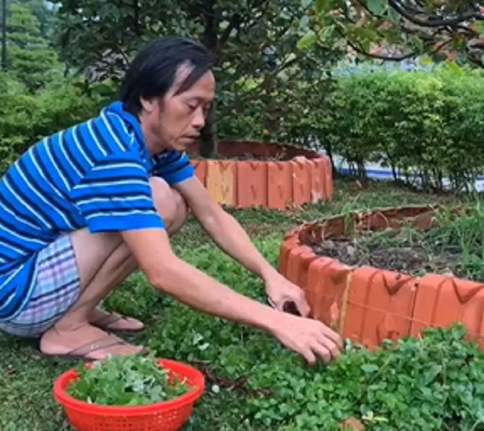 “Lao nong” Hoai Linh va suc hut ky la tu dieu gian di nhat-Hinh-2