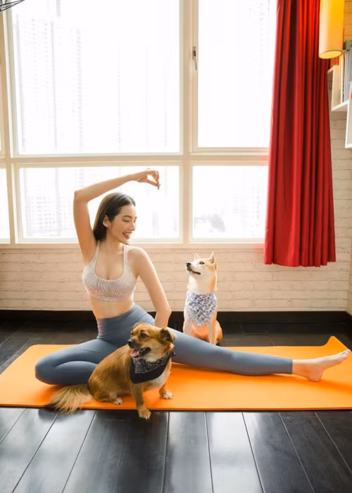 Trong thời gian cách ly xã hội, Trúc Diễm dành nhiều thời gian tập luyện để nâng cao sức khỏe.