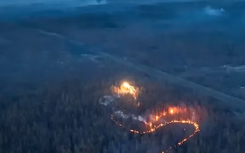 Loại máy bay này có kích thước tương tự máy bay không người lái dùng trong nông nghiệp để phun thuốc trừ sâu, có thể bay từ khoảng cách vài chục km phía sau đến tiền tuyến và thả chất thermite có nhiệt độ lên đến 2.500 độ C xuống các trận địa ẩn trong rừng của Quân đội Nga. Ảnh: CNN.