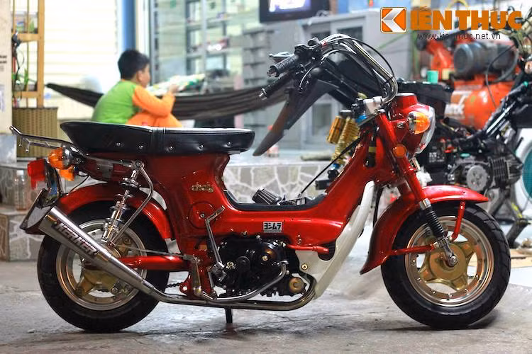 Tuy nhiên đối với người yêu xe, Honda Chaly có thể trở thành một chiếc xe đầy "chất chơi" do sử dụng chung rất nhiều "đồ chơi" với một dòng xe minibike khác của Honda là Monkey. Tại Nhật, mẫu xe này cũng được rất nhiều người ưa chuộng để độ.