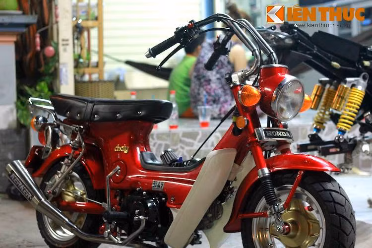 Tại Việt Nam, Honda Chaly cúc cu được nhập vào với số lượng rất nhiều trong cuối thập niên 80, đầu thập niên 90 của Thế kỷ 20 dưới dạng "xe bãi" Nhật. Trước khi các dòng xe ga hiện đại xuất hiện, mẫu xe này từng là lựa chọn số 1 của các bà, các chị đi chợ do có kích thước nhỏ gọn và trọng lượng nhẹ.