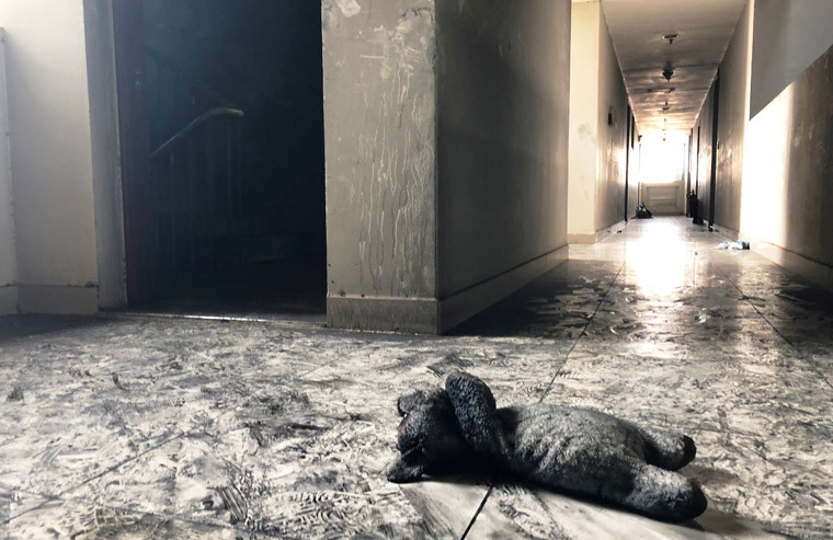 Trên đường cùng người thân tháo chạy khỉ đám cháy, bé gái khoảng 3 tuổi ngụ tại tầng 5 đã gục ngã vì ngạt ngay trên hành lang gần thang máy block A chung cư Carina Plaza. Khi lực lượng cứu hộ tìm thấy thì bé đã mất, bên cạnh là chú gấu bông khiến ai chứng kiến cũng nhói lòng.