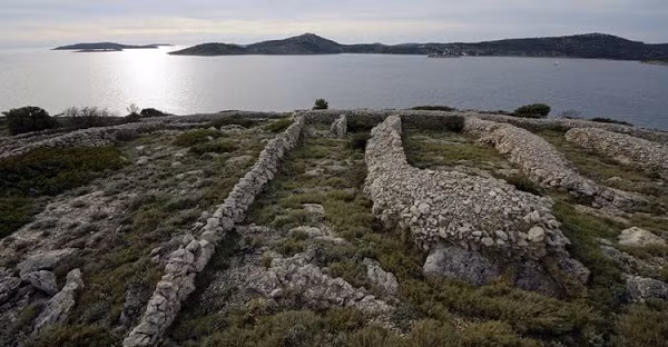 Nhung dieu thu vi ve “dau van tay khong lo” giua long dai duong-Hinh-2