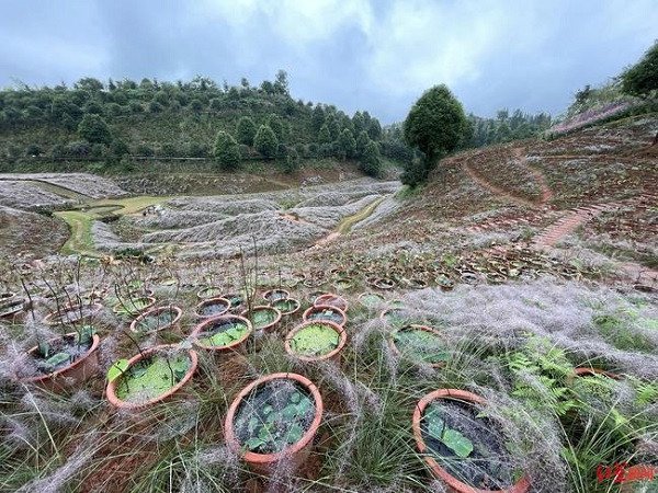 Dang video 'photoshop 7749 lan' de 'du' khach vi ly do nuc cuoi-Hinh-3