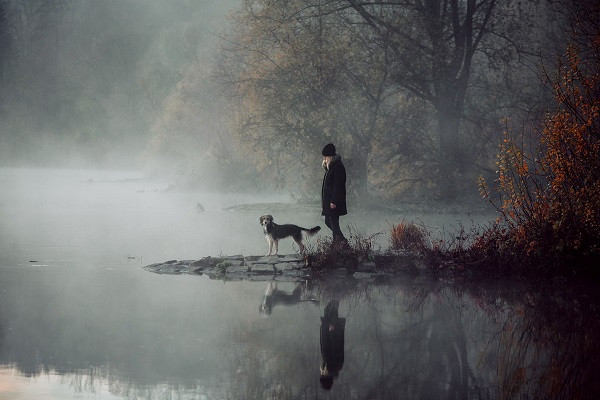 Giai thuong nhiep anh danh cho... cho: Than thai dinh cao mien che-Hinh-4