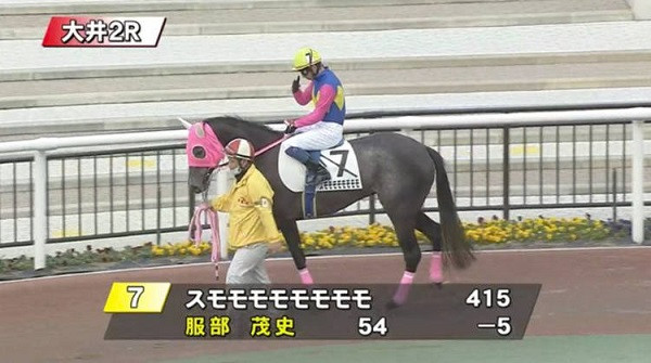 Chú ngựa nổi tiếng vì cái tên “đọc đến đâu líu lưỡi tới đó“ Chu ngua noi tieng vi cai ten “doc den dau liu luoi toi do“