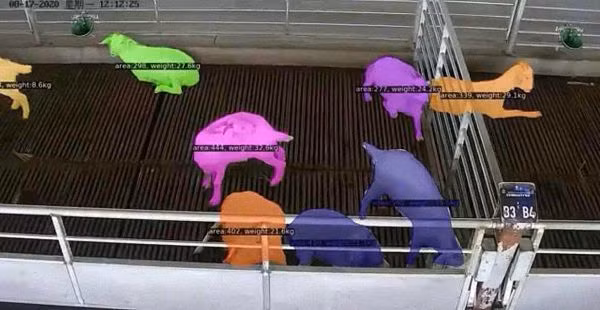 Nhan dien khuon mat nguoi qua on, Trung Quoc muon nhan dien... de