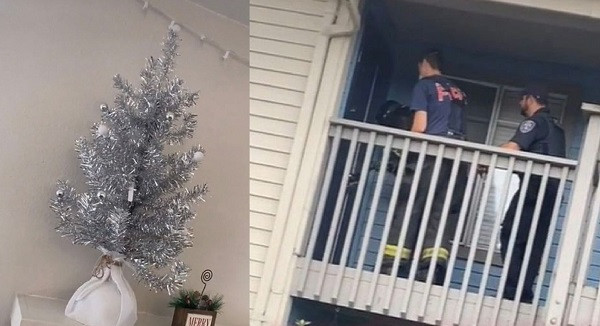 Phat hien bi mat dong troi nho vi tri “la” cua cay thong Noel