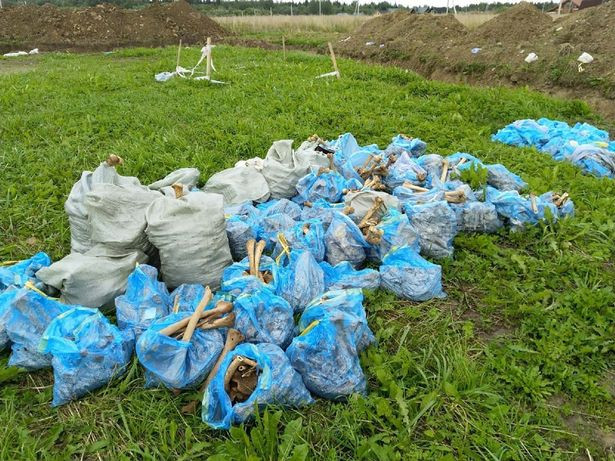 Soc: Ho chon 675 tre em bi hut can mau tu thoi chien tranh