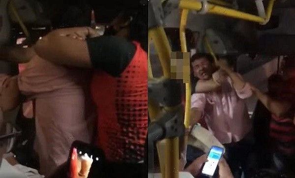 “Yeu rau xanh” meo mat vi gio tro sam so “chuyen gia” Muay Thai-Hinh-2