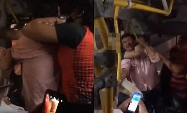 “Yeu rau xanh” meo mat vi gio tro sam so “chuyen gia” Muay Thai-Hinh-2