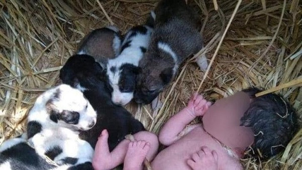 Vua chao doi da bi bo roi, em be duoc cho me cuu mang