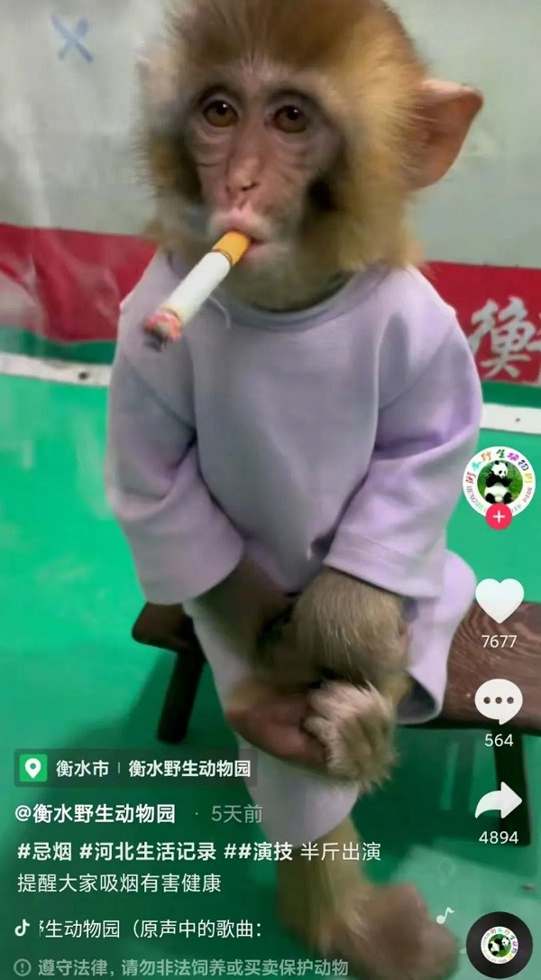 Trung Quoc: Cong vien gay phan no khi bat khi hut thuoc