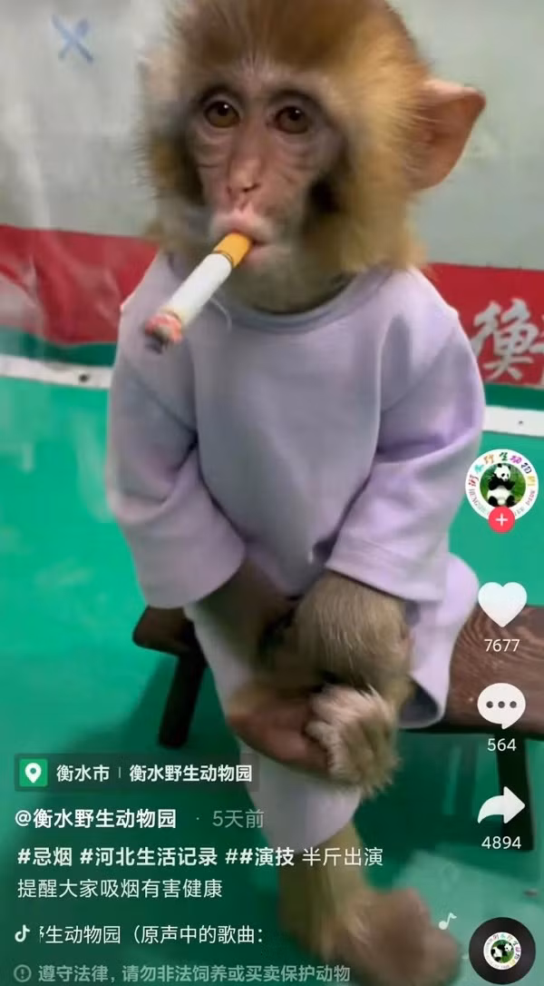 Trung Quoc: Cong vien gay phan no khi bat khi hut thuoc