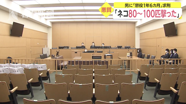 Nguoi dan ong sat hai ca tram con meo vi 