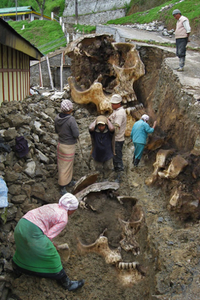 Thuc hu buc anh khai quat “bo xuong nguoi khong lo” gay xon xao-Hinh-3