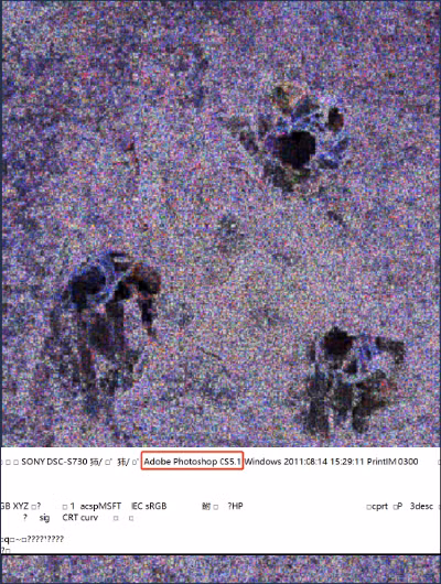 Thuc hu buc anh khai quat “bo xuong nguoi khong lo” gay xon xao-Hinh-2