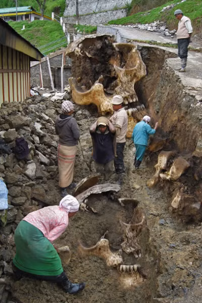 Thuc hu buc anh khai quat “bo xuong nguoi khong lo” gay xon xao-Hinh-3