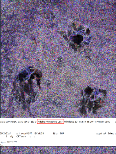 Thuc hu buc anh khai quat “bo xuong nguoi khong lo” gay xon xao-Hinh-2